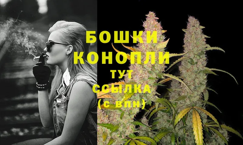 где найти наркотики  Нерчинск  МАРИХУАНА OG Kush 